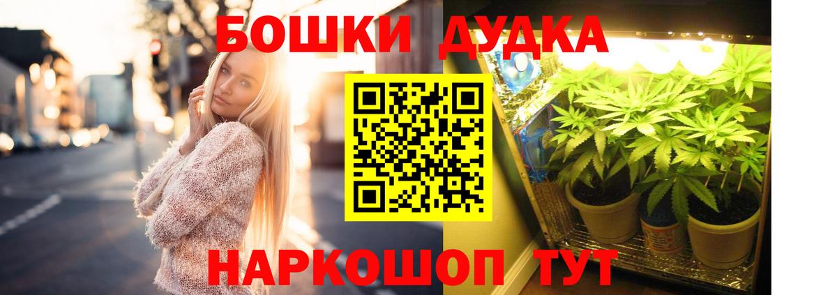 МАРИХУАНА сатива Киреевск